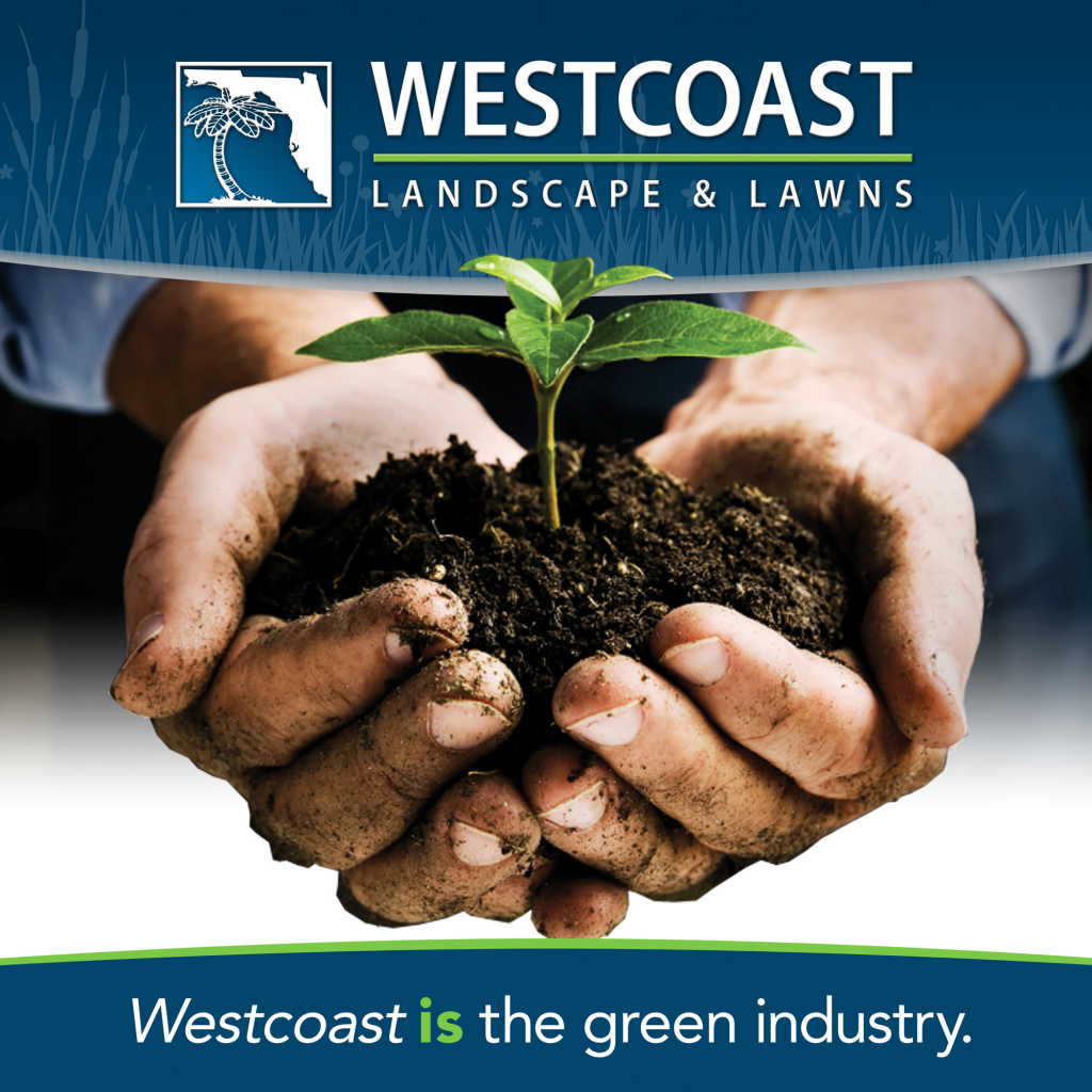 Westcoast landscape contractor IS the green industry