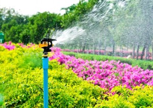 Proper irrigation is key to building sustainable landscape designs