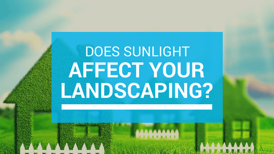 blog graphic - sunlight and landscaping