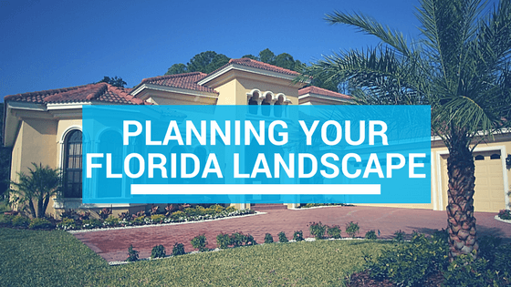 how to plan landscaping in florida