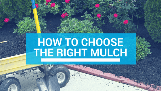 how to choose mulch in Florida - header image