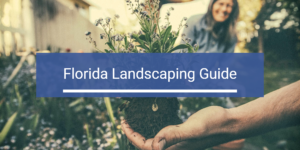 Florida Landscaping Guide Header Image